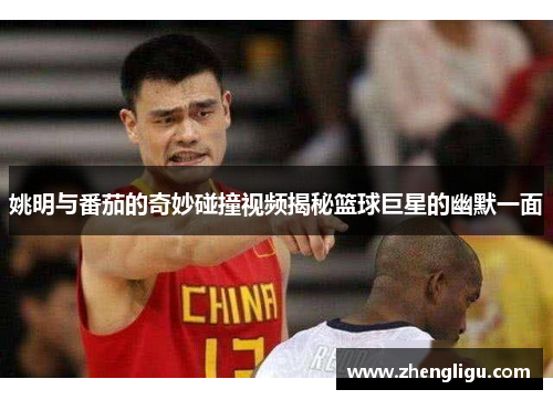 姚明与番茄的奇妙碰撞视频揭秘篮球巨星的幽默一面